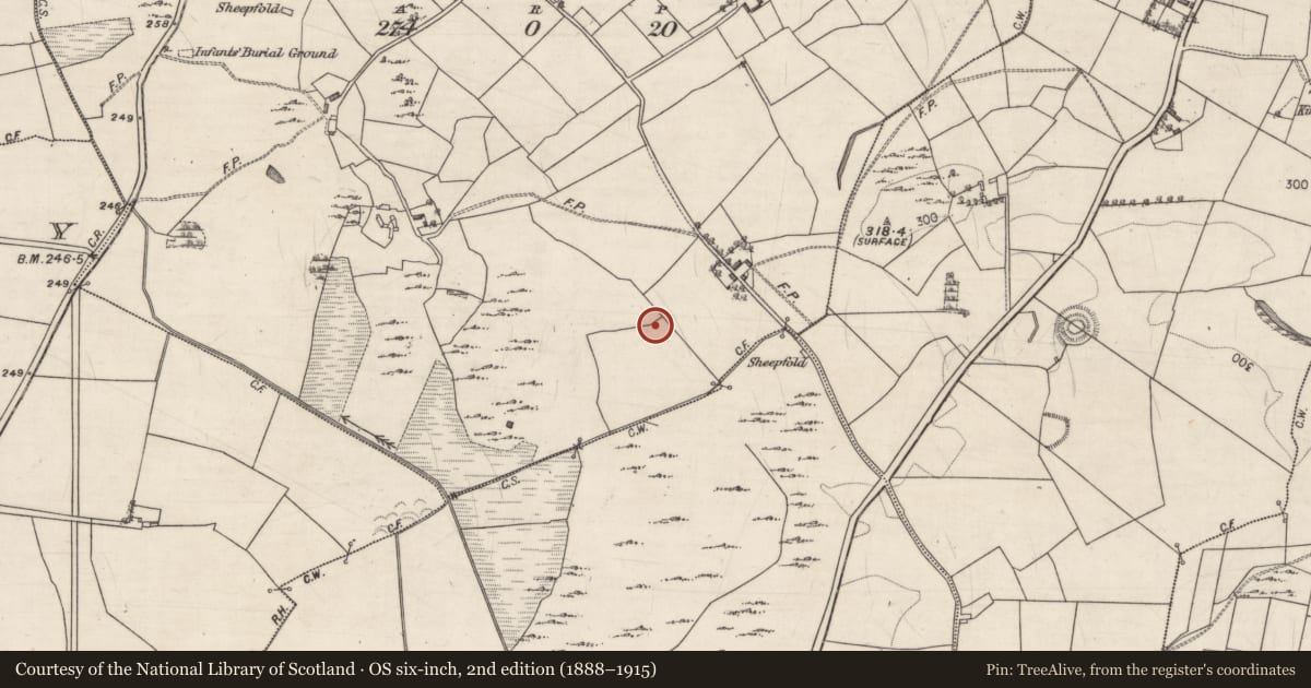 Ordnance Survey six-inch map, 2nd edition (1888–1915) covering the location of Souterrain, Graigue, County Galway, with a pin at the register's coordinates