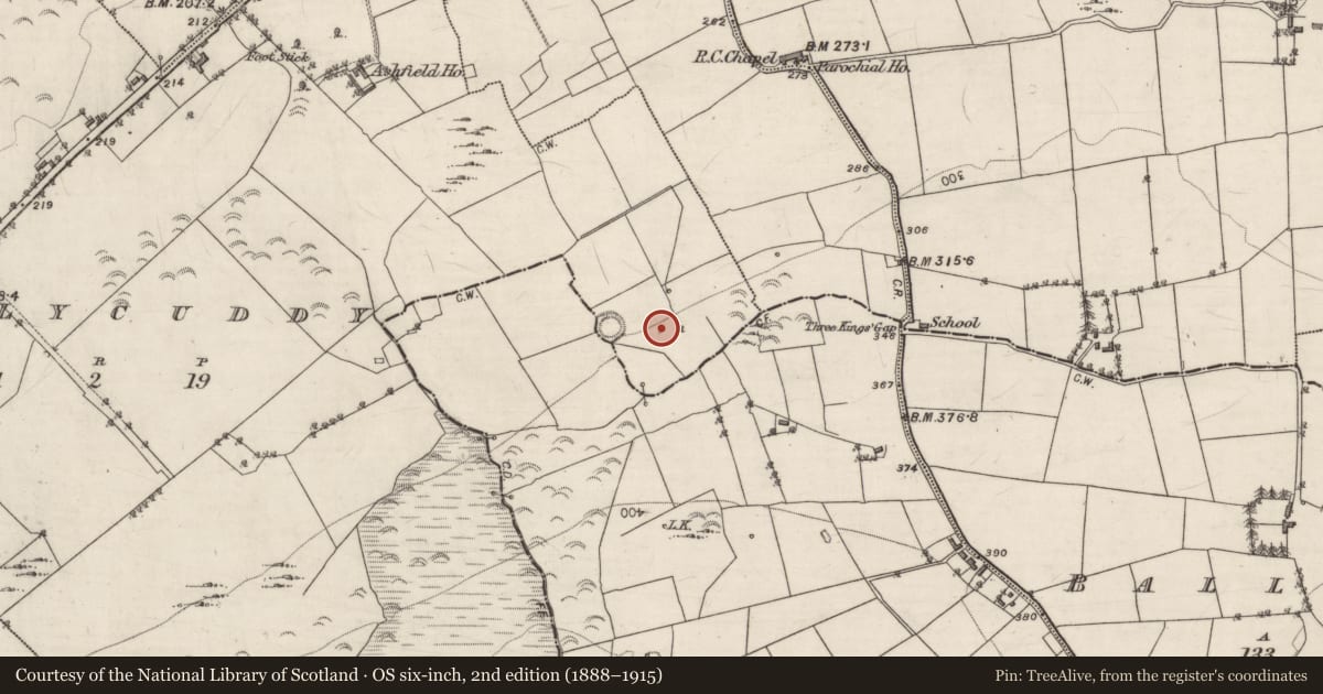 Ordnance Survey six-inch map, 2nd edition (1888–1915) covering the location of Standing stone, Ballycuddy, County Galway, with a pin at the register's coordinates