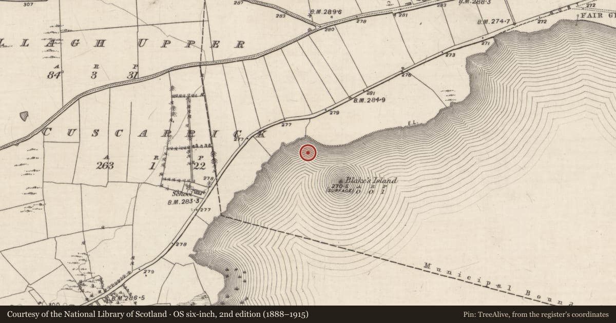 Ordnance Survey six-inch map, 2nd edition (1888–1915) covering the location of Fulacht fia, Lough Rea, County Galway, with a pin at the register's coordinates
