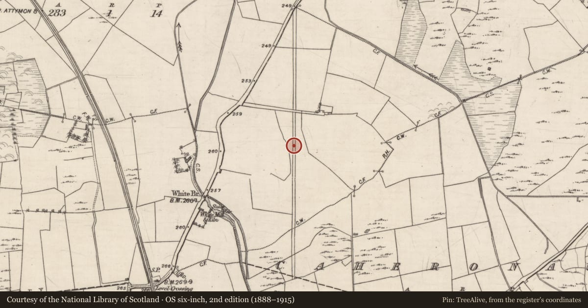 Ordnance Survey six-inch map, 2nd edition (1888–1915) covering the location of Road - road/trackway, Ballygasty, Caheronaun, County Galway, with a pin at the register's coordinates