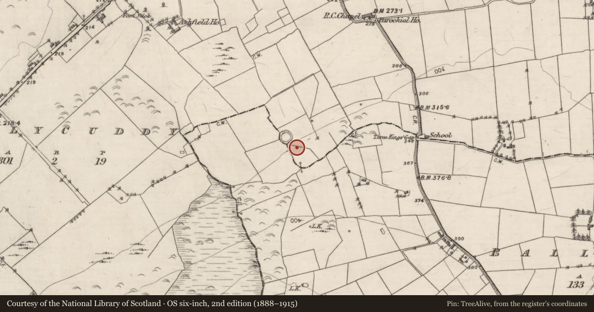 Ordnance Survey six-inch map, 2nd edition (1888–1915) covering the location of Field boundary, Ballycuddy, County Galway, with a pin at the register's coordinates