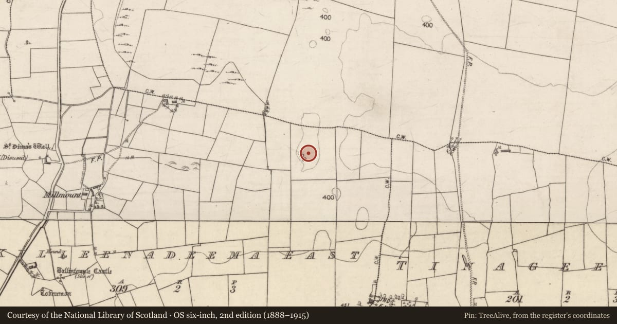 Ordnance Survey six-inch map, 2nd edition (1888–1915) covering the location of Enclosure, Killeenadeema East, County Galway, with a pin at the register's coordinates