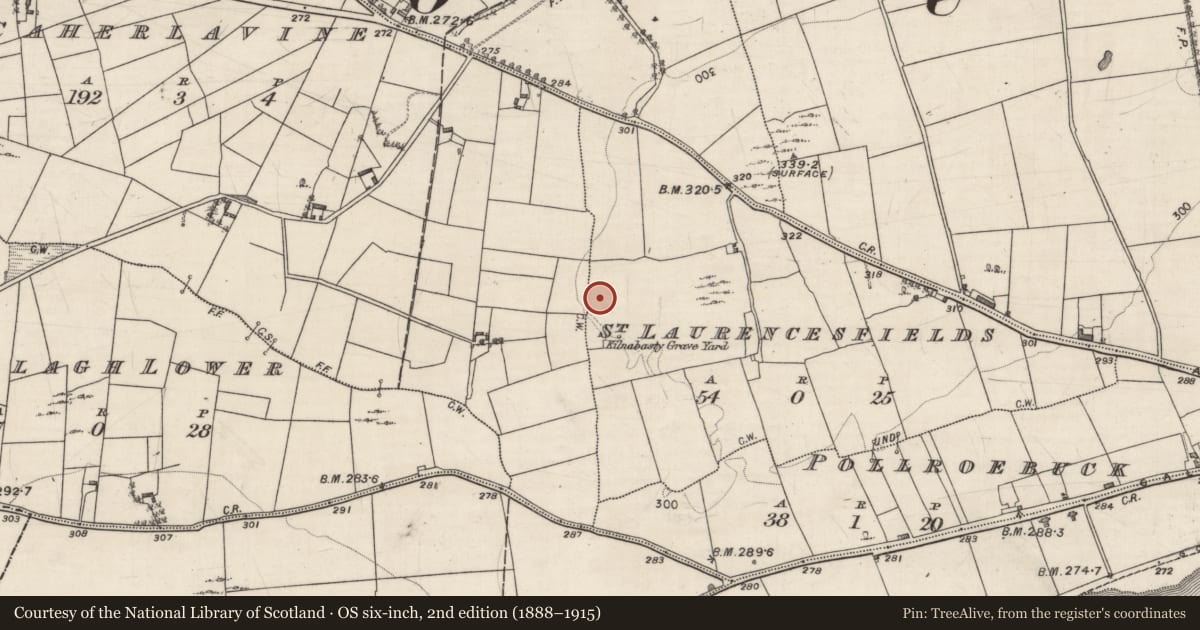 Ordnance Survey six-inch map, 2nd edition (1888–1915) covering the location of Enclosure, St Laurencesfields, County Galway, with a pin at the register's coordinates