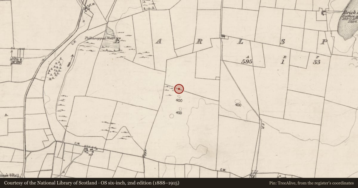 Ordnance Survey six-inch map, 2nd edition (1888–1915) covering the location of Souterrain, Earlspark, County Galway, with a pin at the register's coordinates