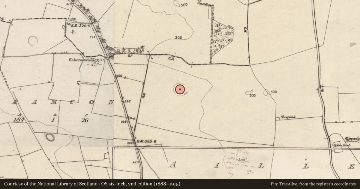 Ordnance Survey six-inch map, 2nd edition (1888–1915) covering the location of Ringfort - rath, Aille, County Galway, with a pin at the register's coordinates