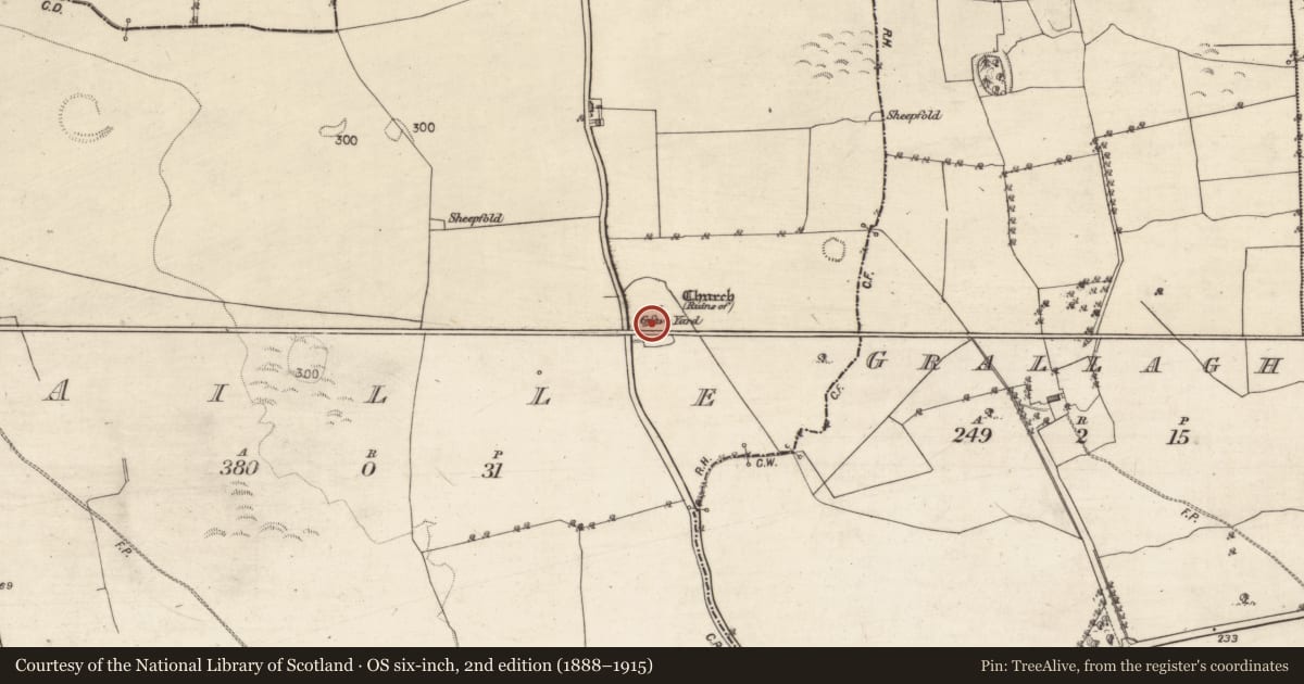 Ordnance Survey six-inch map, 2nd edition (1888–1915) covering the location of Church, Aille, County Galway, with a pin at the register's coordinates