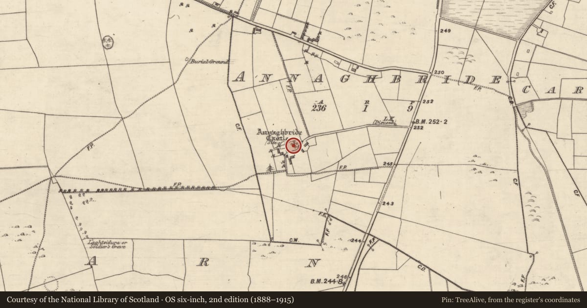 Ordnance Survey six-inch map, 2nd edition (1888–1915) covering the location of Castle - unclassified, Annaghbride, County Galway, with a pin at the register's coordinates