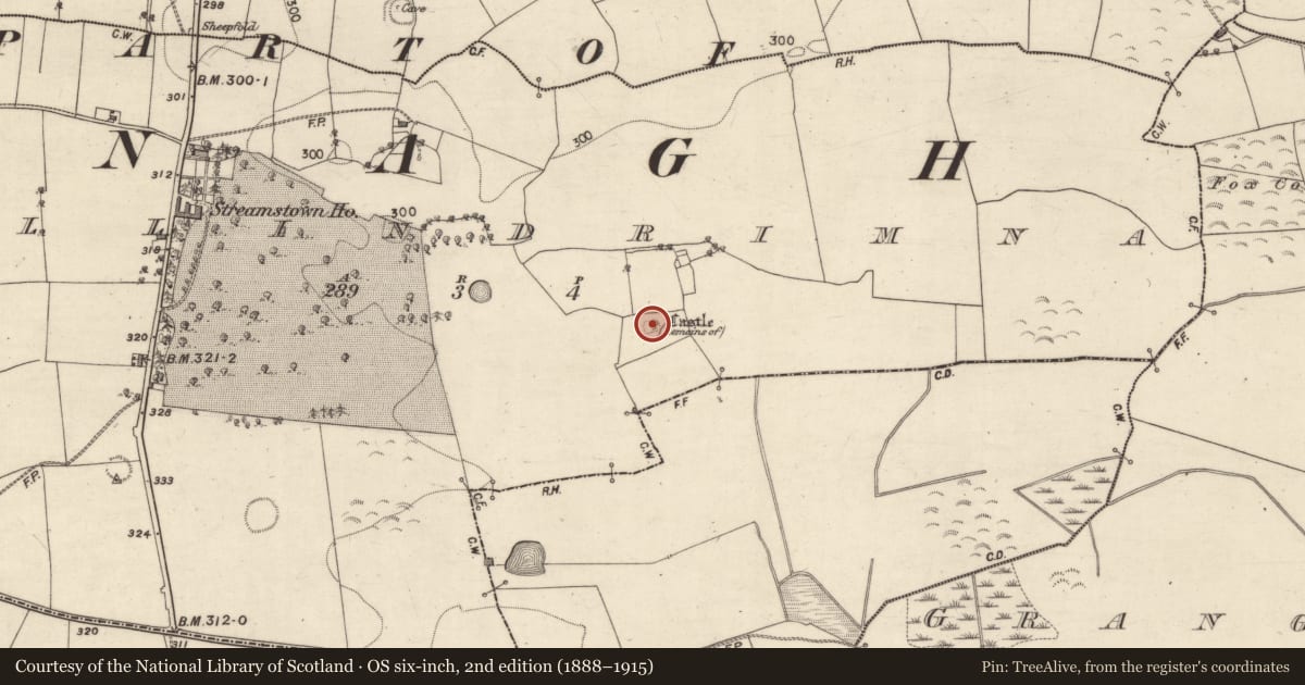 Ordnance Survey six-inch map, 2nd edition (1888–1915) covering the location of Castle - unclassified, Ballindrimna, County Galway, with a pin at the register's coordinates
