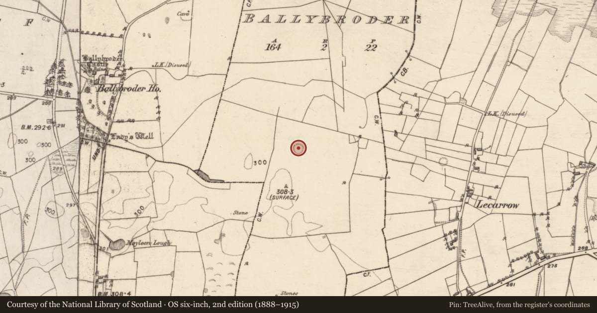 Ordnance Survey six-inch map, 2nd edition (1888–1915) covering the location of Ringfort - rath, Ballybroder, County Galway, with a pin at the register's coordinates