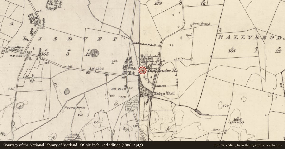 Ordnance Survey six-inch map, 2nd edition (1888–1915) covering the location of Designed landscape feature, Ballybroder, County Galway, with a pin at the register's coordinates