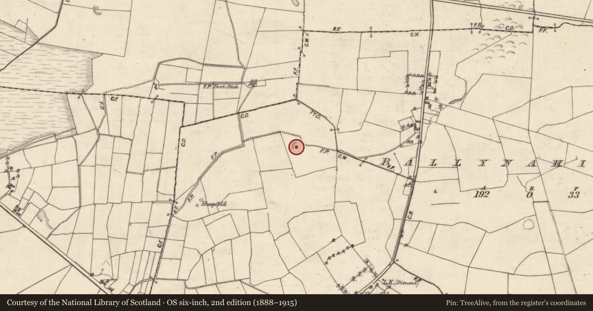 Ordnance Survey six-inch map, 2nd edition (1888–1915) covering the location of Quarry, Ballydavid, County Galway, with a pin at the register's coordinates