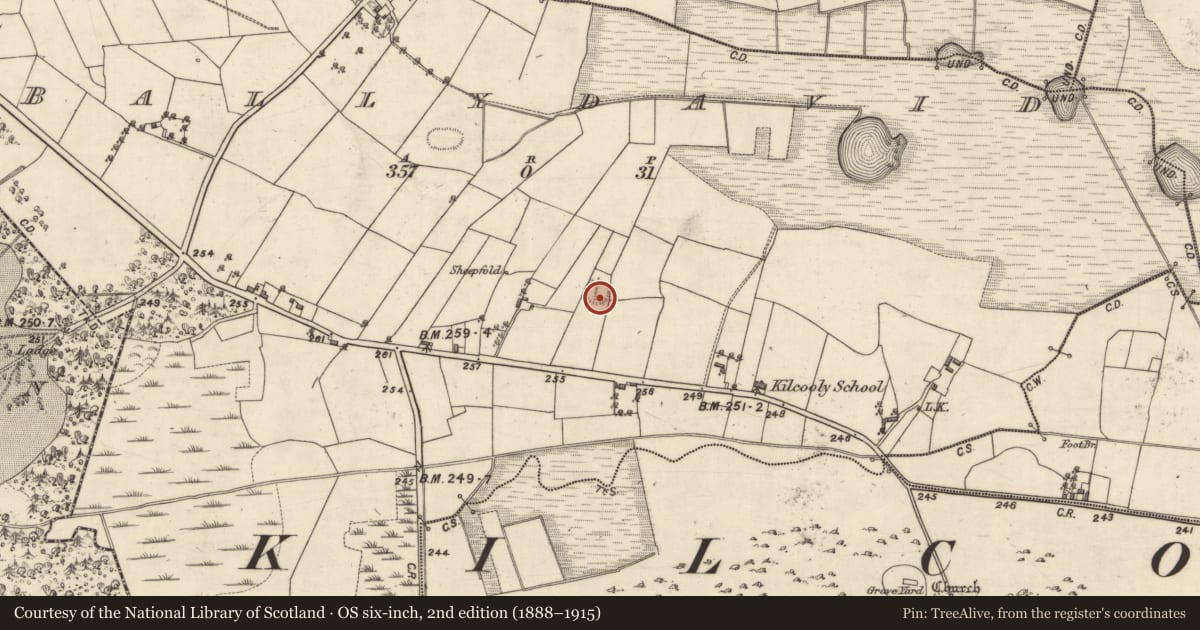 Ordnance Survey six-inch map, 2nd edition (1888–1915) covering the location of Ringfort - rath, Ballydavid, County Galway, with a pin at the register's coordinates