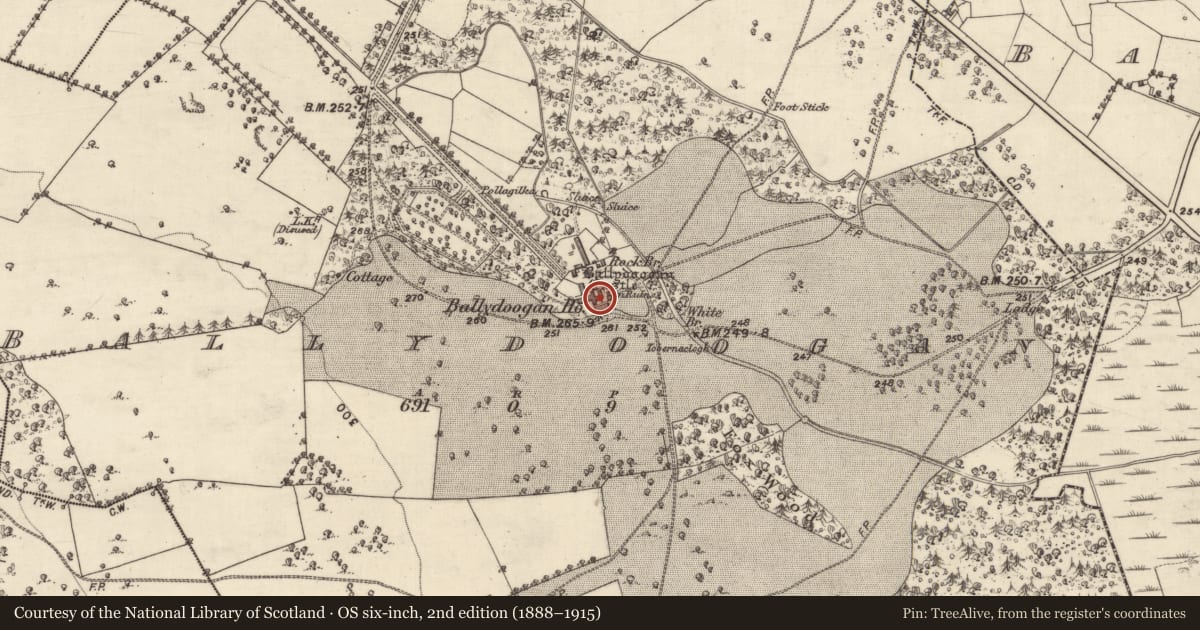 Ordnance Survey six-inch map, 2nd edition (1888–1915) covering the location of Castle - tower house, Ballydoogan, County Galway, with a pin at the register's coordinates
