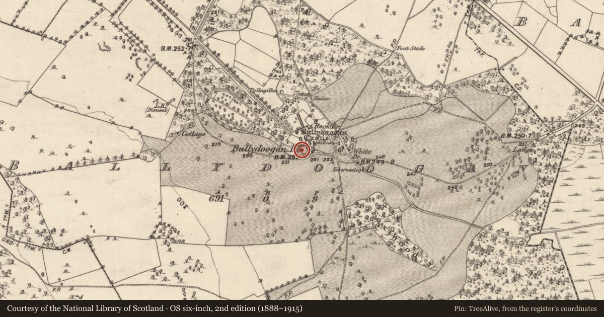 Ordnance Survey six-inch map, 2nd edition (1888–1915) covering the location of Bullaun stone (present location), Ballydoogan, County Galway, with a pin at the register's coordinates