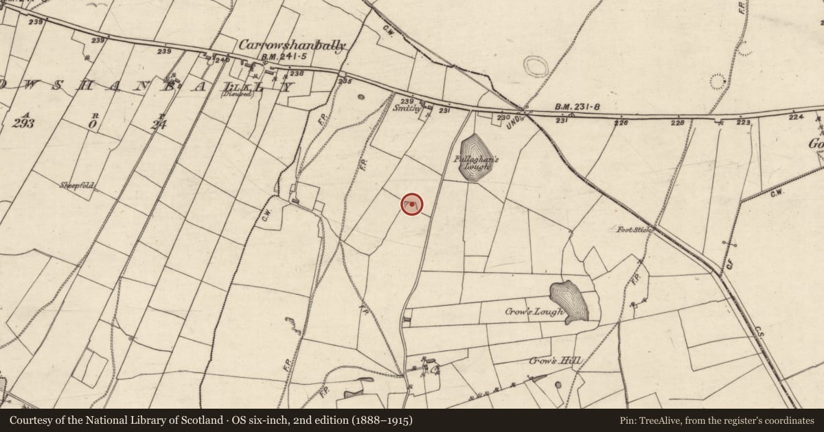 Ordnance Survey six-inch map, 2nd edition (1888–1915) covering the location of Ringfort - rath, Ballyfintan, County Galway, with a pin at the register's coordinates