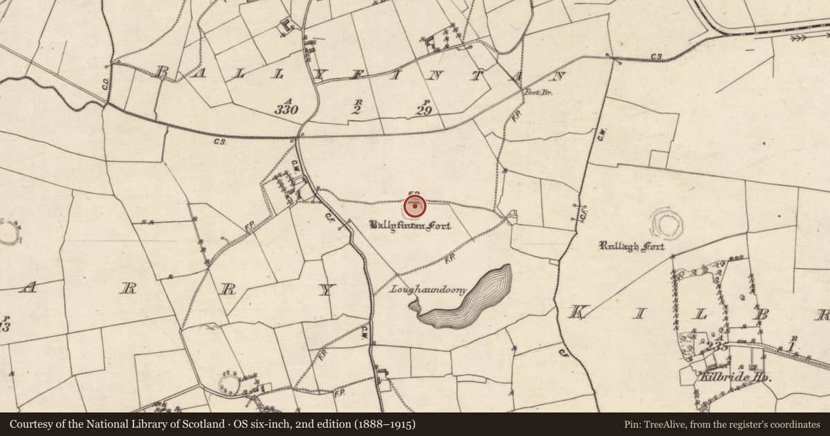 Ordnance Survey six-inch map, 2nd edition (1888–1915) covering the location of Ringfort - rath, Ballyfintan, County Galway, with a pin at the register's coordinates