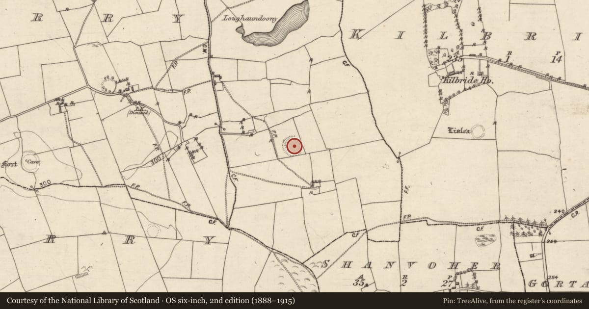 Ordnance Survey six-inch map, 2nd edition (1888–1915) covering the location of Ringfort - rath, Ballyfintan, County Galway, with a pin at the register's coordinates