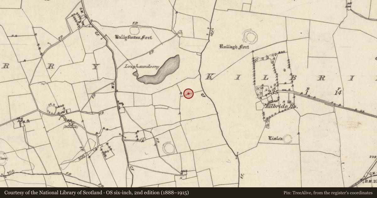 Ordnance Survey six-inch map, 2nd edition (1888–1915) covering the location of Industrial site, Ballyfintan, County Galway, with a pin at the register's coordinates