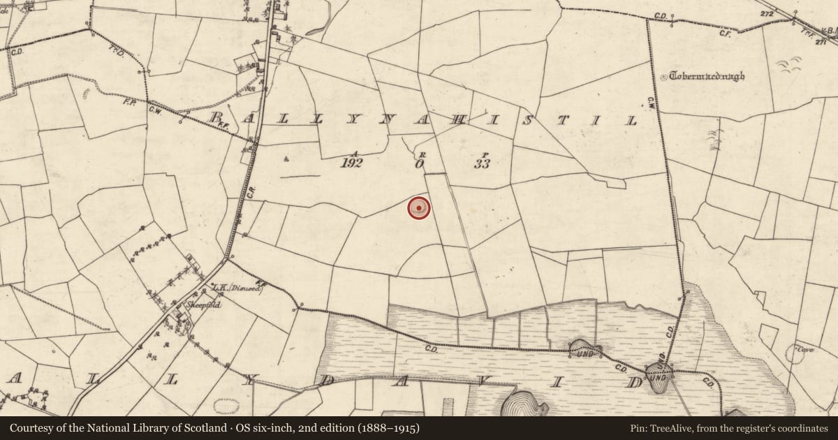 Ordnance Survey six-inch map, 2nd edition (1888–1915) covering the location of Ringfort - rath, Ballynahistil, County Galway, with a pin at the register's coordinates