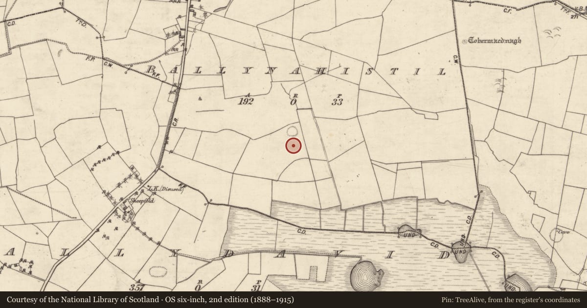 Ordnance Survey six-inch map, 2nd edition (1888–1915) covering the location of Field boundary, Ballynahistil, County Galway, with a pin at the register's coordinates