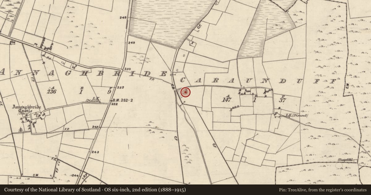 Ordnance Survey six-inch map, 2nd edition (1888–1915) covering the location of Quarry, Caraunduff, County Galway, with a pin at the register's coordinates