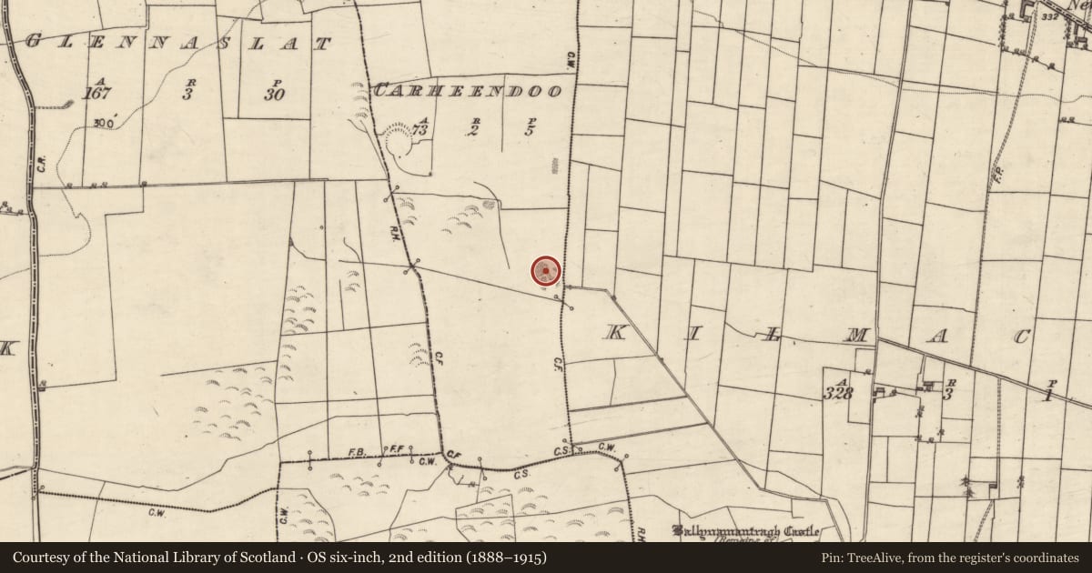 Ordnance Survey six-inch map, 2nd edition (1888–1915) covering the location of Quarry, Carheendoo, County Galway, with a pin at the register's coordinates