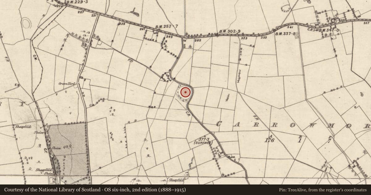 Ordnance Survey six-inch map, 2nd edition (1888–1915) covering the location of Ringfort - rath, Carrowmore (Bracklagh ED ), Limehill, County Galway, with a pin at the register's coordinates
