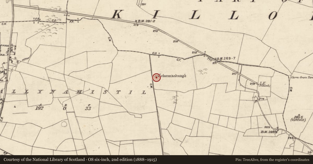 Ordnance Survey six-inch map, 2nd edition (1888–1915) covering the location of Ritual site - holy well, Carrowroe, County Galway, with a pin at the register's coordinates