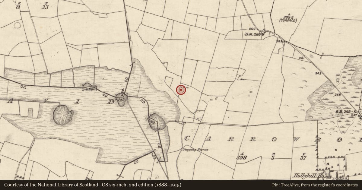 Ordnance Survey six-inch map, 2nd edition (1888–1915) covering the location of Ringfort - rath, Carrowroe, County Galway, with a pin at the register's coordinates