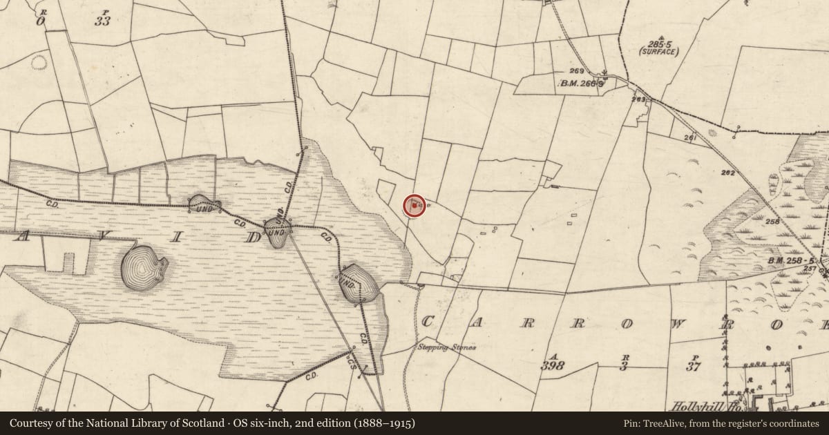 Ordnance Survey six-inch map, 2nd edition (1888–1915) covering the location of Souterrain, Carrowroe, County Galway, with a pin at the register's coordinates