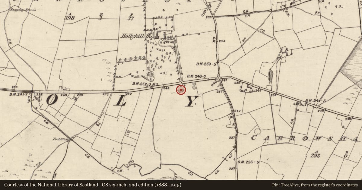 Ordnance Survey six-inch map, 2nd edition (1888–1915) covering the location of Quarry, Carrowroe, County Galway, with a pin at the register's coordinates