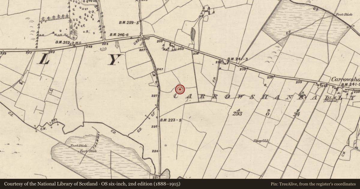 Ordnance Survey six-inch map, 2nd edition (1888–1915) covering the location of Souterrain, Carrowshanbally, County Galway, with a pin at the register's coordinates