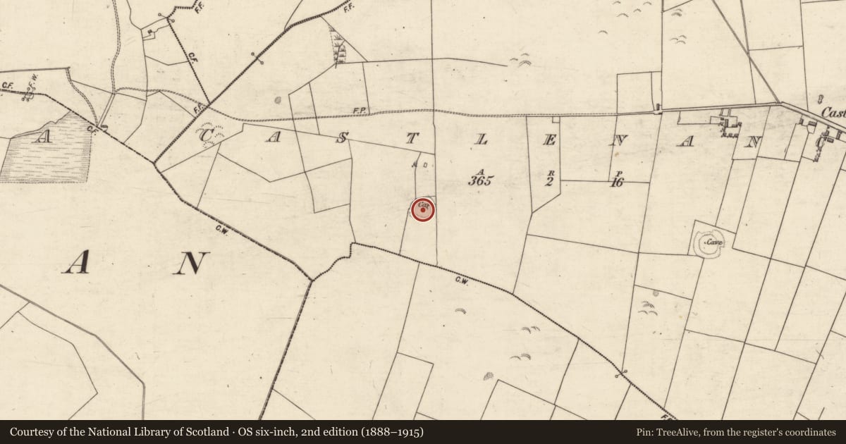 Ordnance Survey six-inch map, 2nd edition (1888–1915) covering the location of Souterrain, Castlenancy, County Galway, with a pin at the register's coordinates