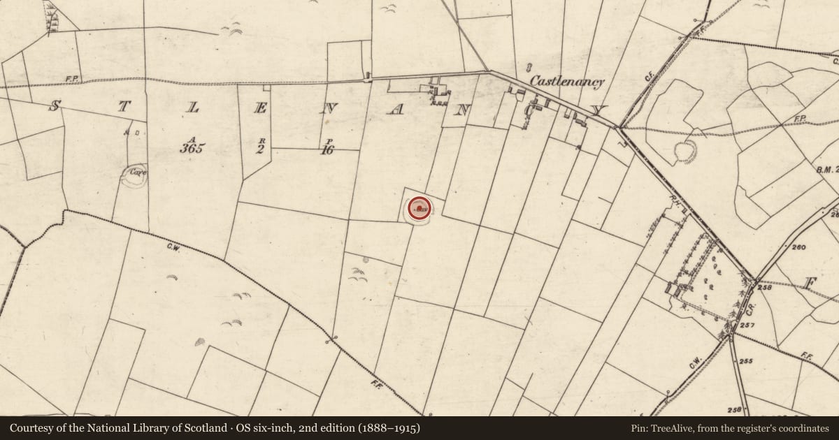 Ordnance Survey six-inch map, 2nd edition (1888–1915) covering the location of Souterrain, Castlenancy, County Galway, with a pin at the register's coordinates