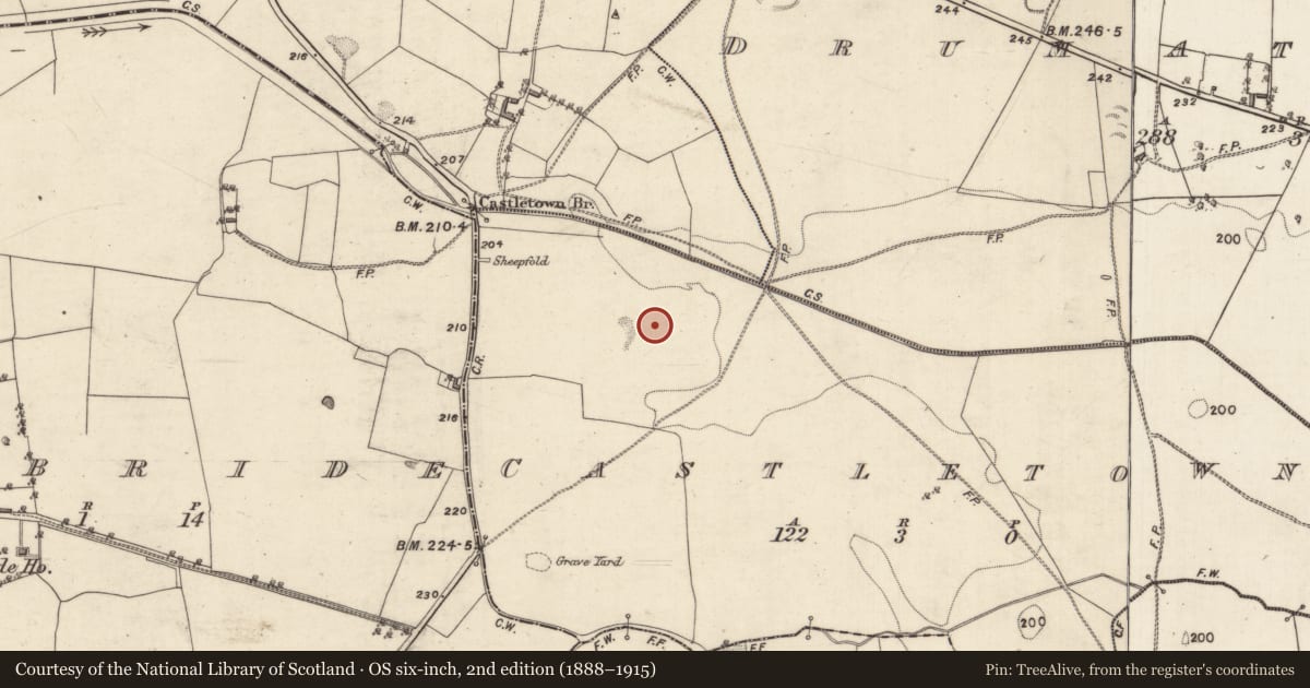 Ordnance Survey six-inch map, 2nd edition (1888–1915) covering the location of Field system, Castletown, County Galway, with a pin at the register's coordinates