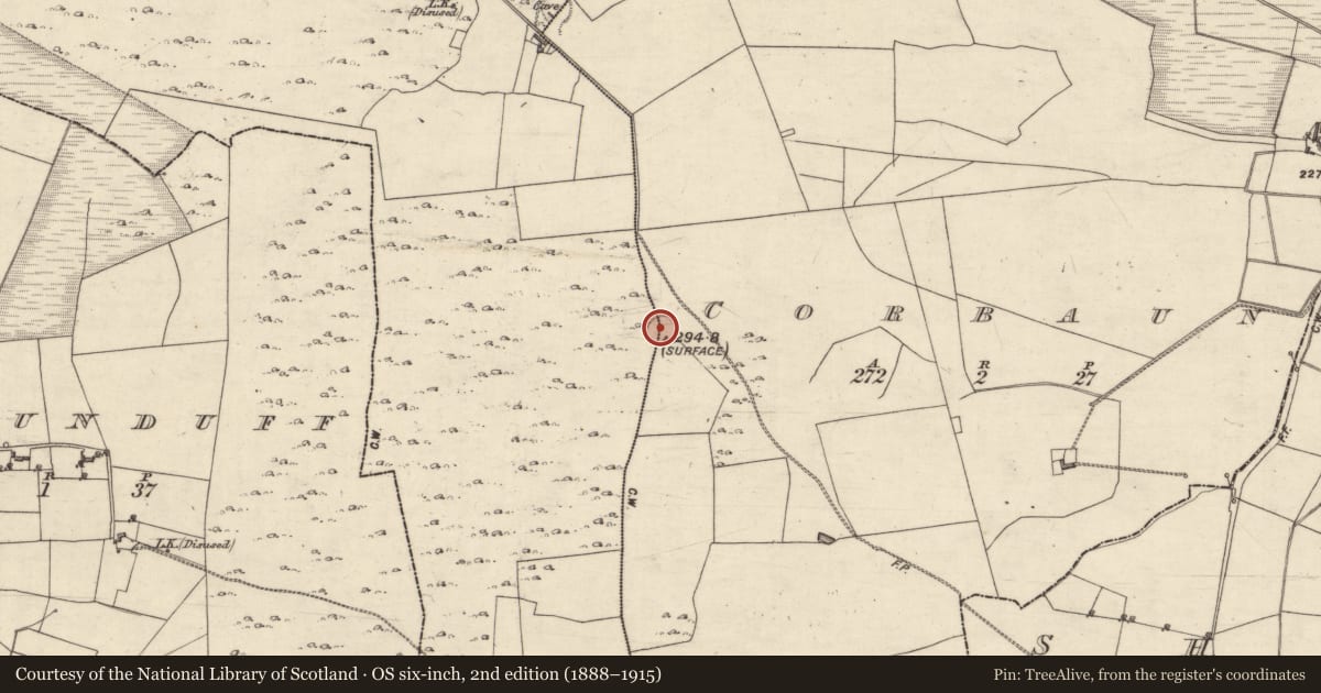 Ordnance Survey six-inch map, 2nd edition (1888–1915) covering the location of Ringfort - cashel, Corbaun, Kilcooly, County Galway, with a pin at the register's coordinates