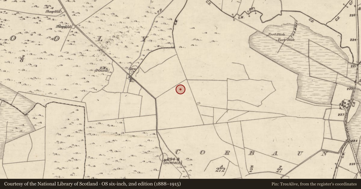 Ordnance Survey six-inch map, 2nd edition (1888–1915) covering the location of Field system, Corbaun, County Galway, with a pin at the register's coordinates