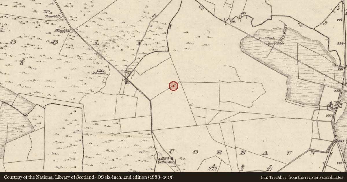 Ordnance Survey six-inch map, 2nd edition (1888–1915) covering the location of Ringfort - cashel, Corbaun, County Galway, with a pin at the register's coordinates