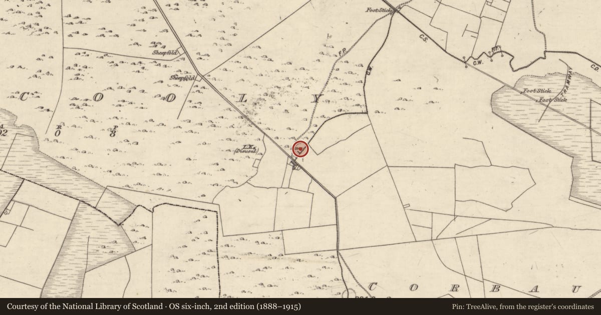 Ordnance Survey six-inch map, 2nd edition (1888–1915) covering the location of Ringfort - rath, Kilcooly, County Galway, with a pin at the register's coordinates