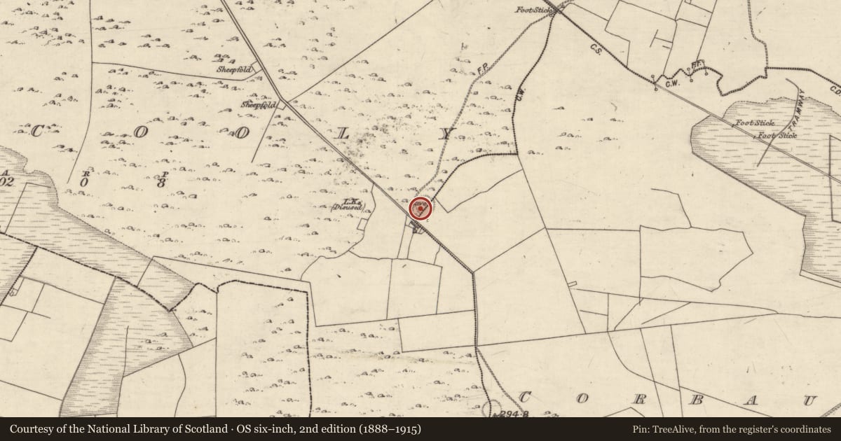 Ordnance Survey six-inch map, 2nd edition (1888–1915) covering the location of Souterrain, Kilcooly, County Galway, with a pin at the register's coordinates