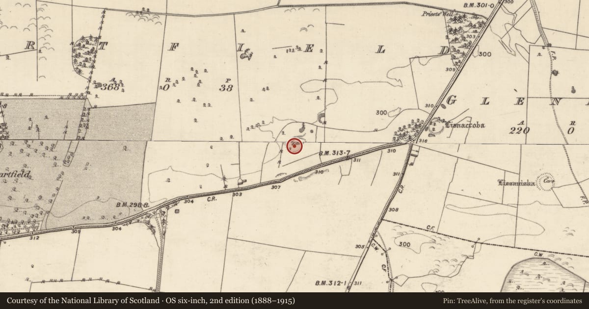 Ordnance Survey six-inch map, 2nd edition (1888–1915) covering the location of Ringfort - rath, Dartfield, County Galway, with a pin at the register's coordinates