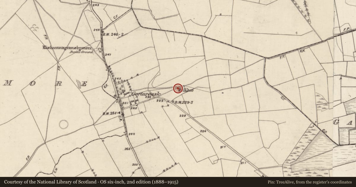 Ordnance Survey six-inch map, 2nd edition (1888–1915) covering the location of Well, Derryfrench, County Galway, with a pin at the register's coordinates