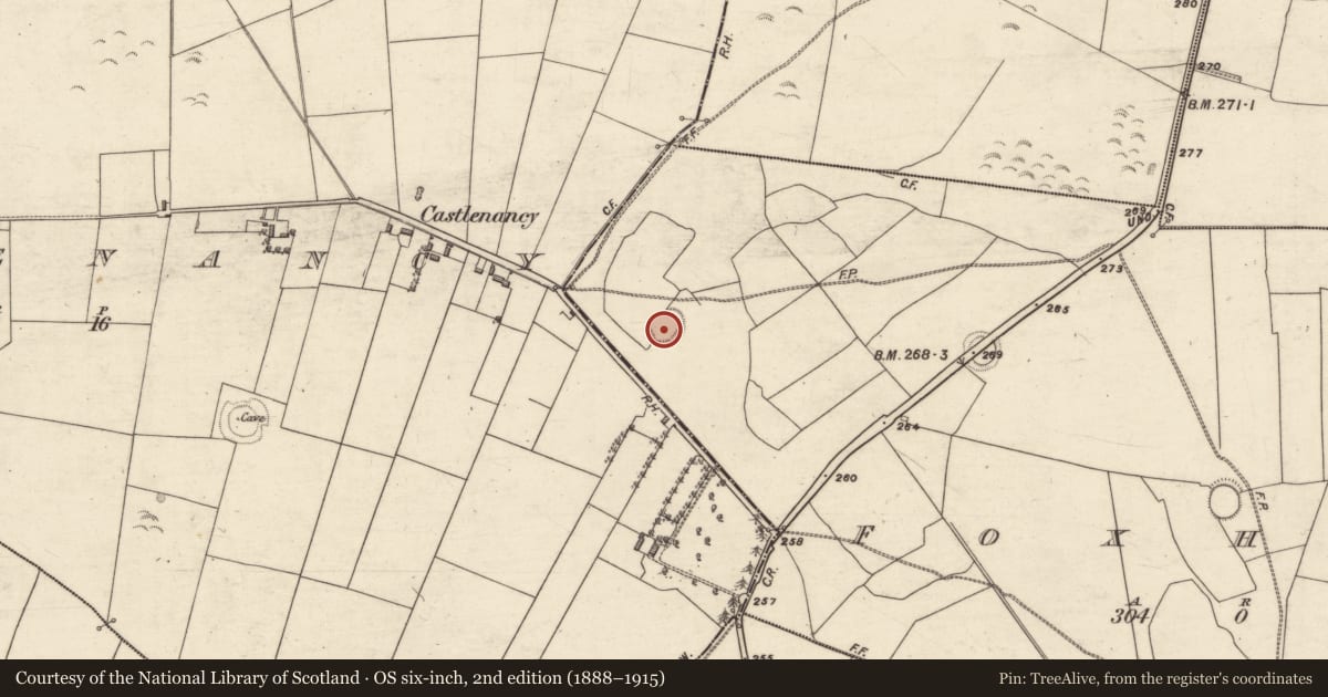 Ordnance Survey six-inch map, 2nd edition (1888–1915) covering the location of Ringfort - rath, Foxhall, County Galway, with a pin at the register's coordinates