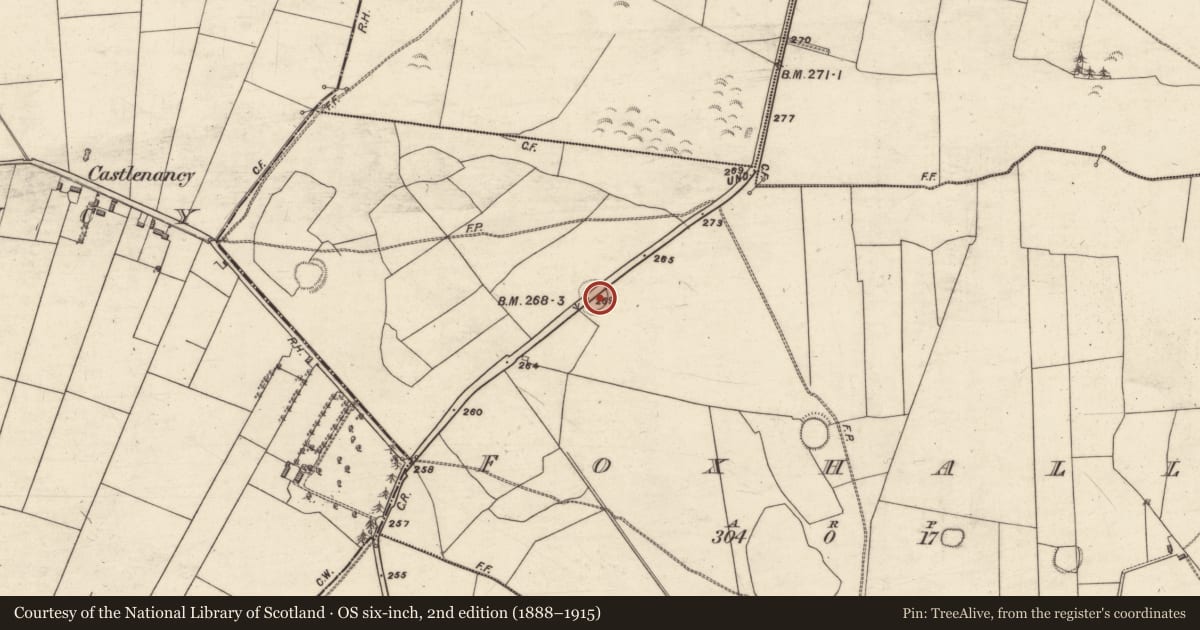 Ordnance Survey six-inch map, 2nd edition (1888–1915) covering the location of Ringfort - rath, Foxhall, County Galway, with a pin at the register's coordinates