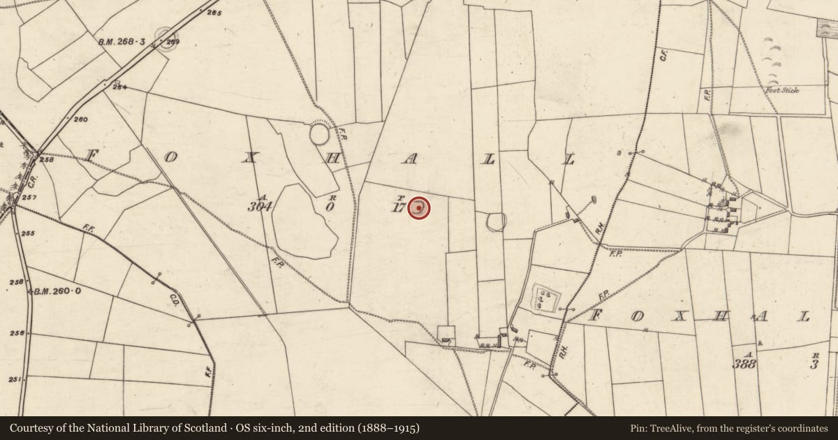 Ordnance Survey six-inch map, 2nd edition (1888–1915) covering the location of Enclosure, Foxhall, County Galway, with a pin at the register's coordinates