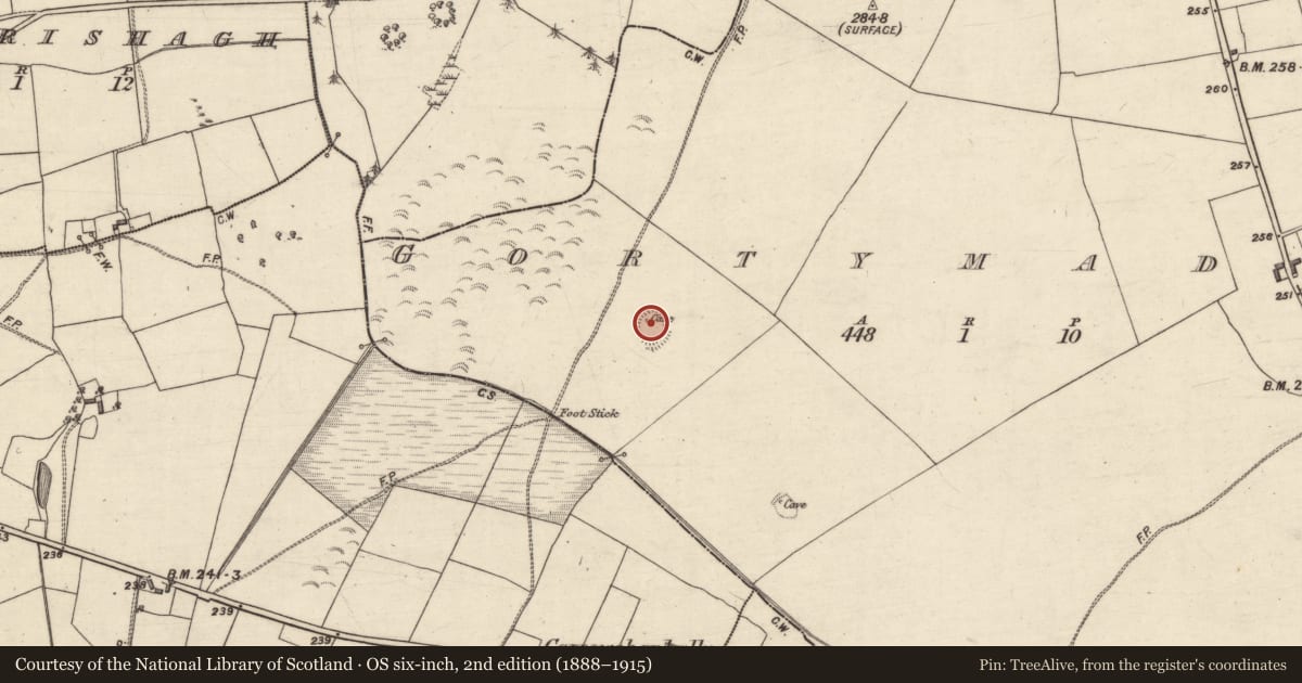 Ordnance Survey six-inch map, 2nd edition (1888–1915) covering the location of Ringfort - rath, Gortymadden, County Galway, with a pin at the register's coordinates