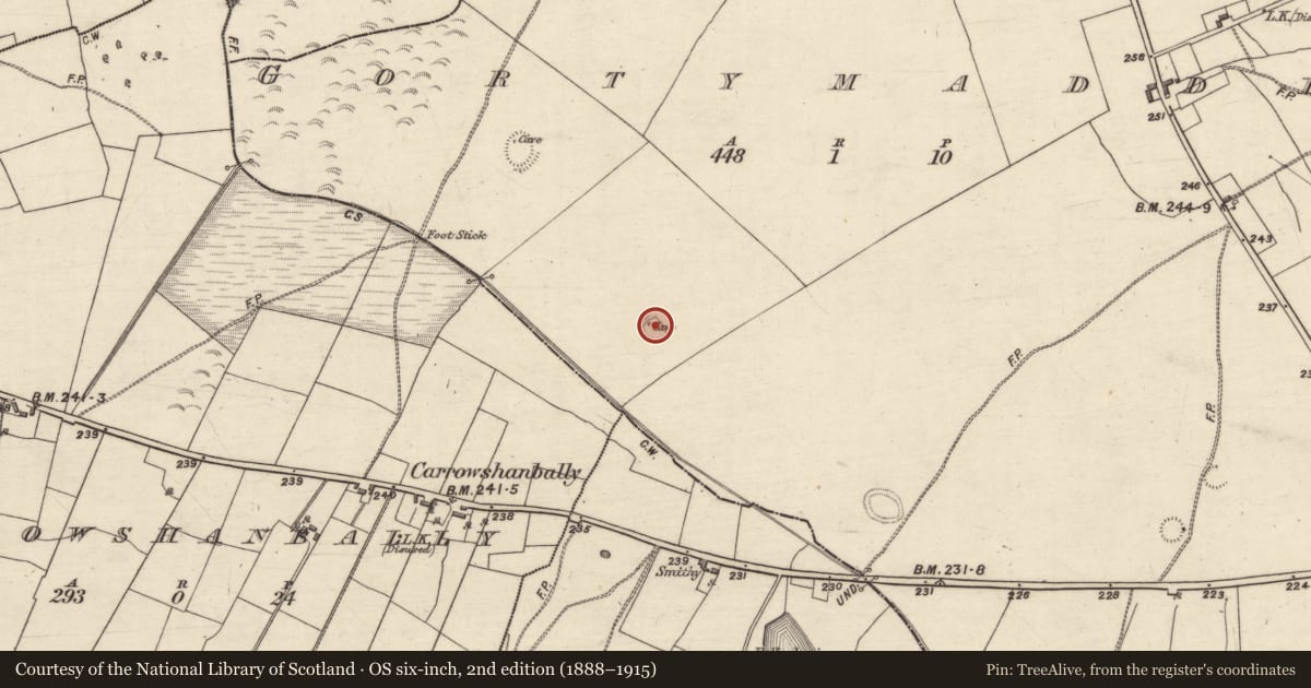 Ordnance Survey six-inch map, 2nd edition (1888–1915) covering the location of Ringfort - rath, Gortymadden, County Galway, with a pin at the register's coordinates