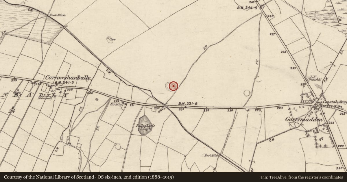 Ordnance Survey six-inch map, 2nd edition (1888–1915) covering the location of Souterrain, Gortymadden, County Galway, with a pin at the register's coordinates