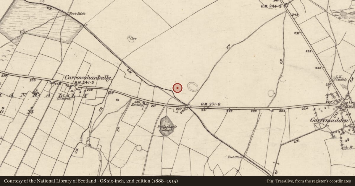 Ordnance Survey six-inch map, 2nd edition (1888–1915) covering the location of House - indeterminate date, Gortymadden, County Galway, with a pin at the register's coordinates
