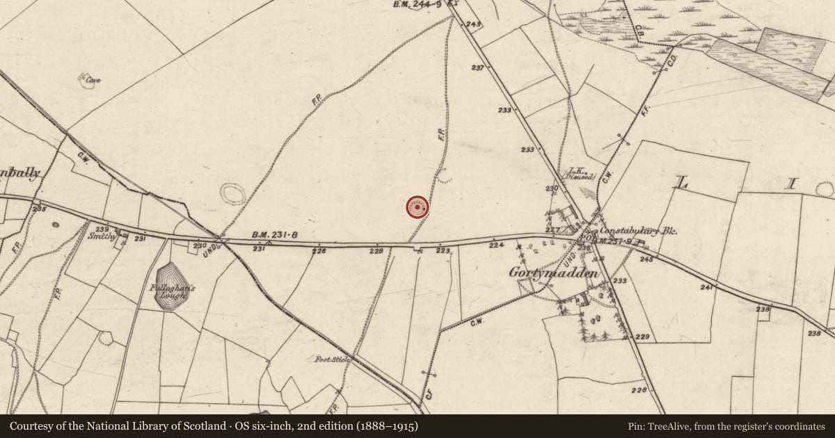 Ordnance Survey six-inch map, 2nd edition (1888–1915) covering the location of Ringfort - rath, Gortymadden, County Galway, with a pin at the register's coordinates